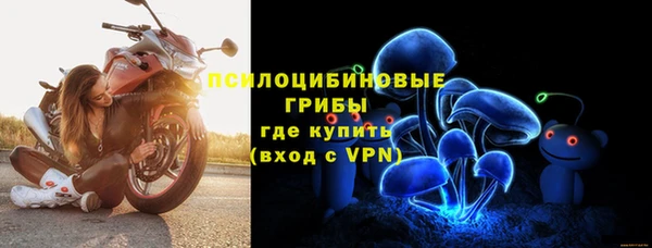 ешки Краснотурьинск