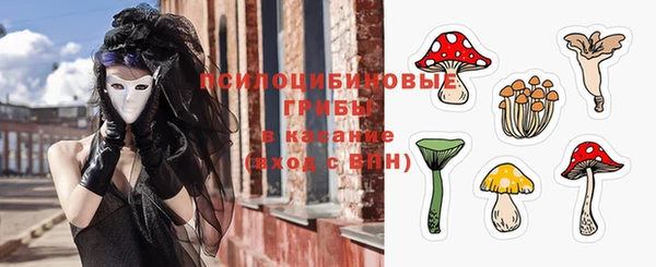 ешки Краснотурьинск