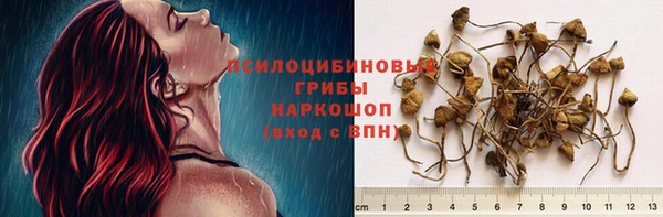 стафф Красноперекопск